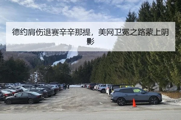 de-yue-jian-shang-tui-sai-xin-xin-na-ti-mei-wang-wei-mian-zhi-lu-meng-shang-yin-ying-2-336.jpg