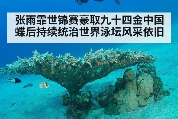 张雨霏世锦赛豪取九十四金中国蝶后持续统治世界泳坛风采依旧