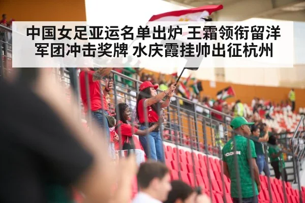 soccer stadium crowd